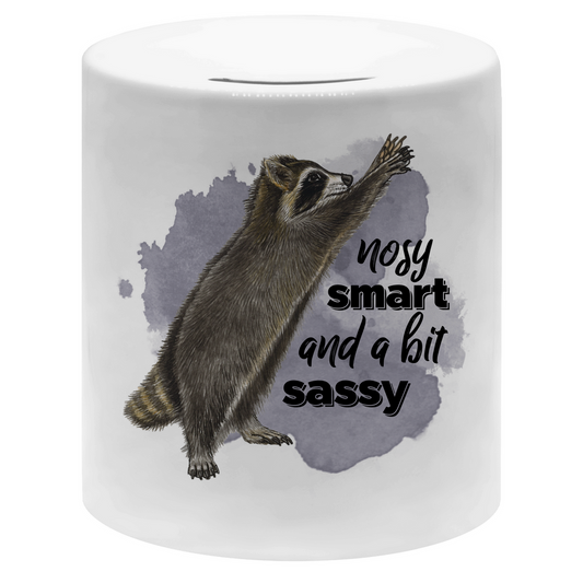 Spardose Waschbär